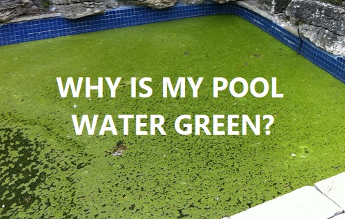 علت سبز شدن آب استخر شنا و  نحوه مقابله با آن